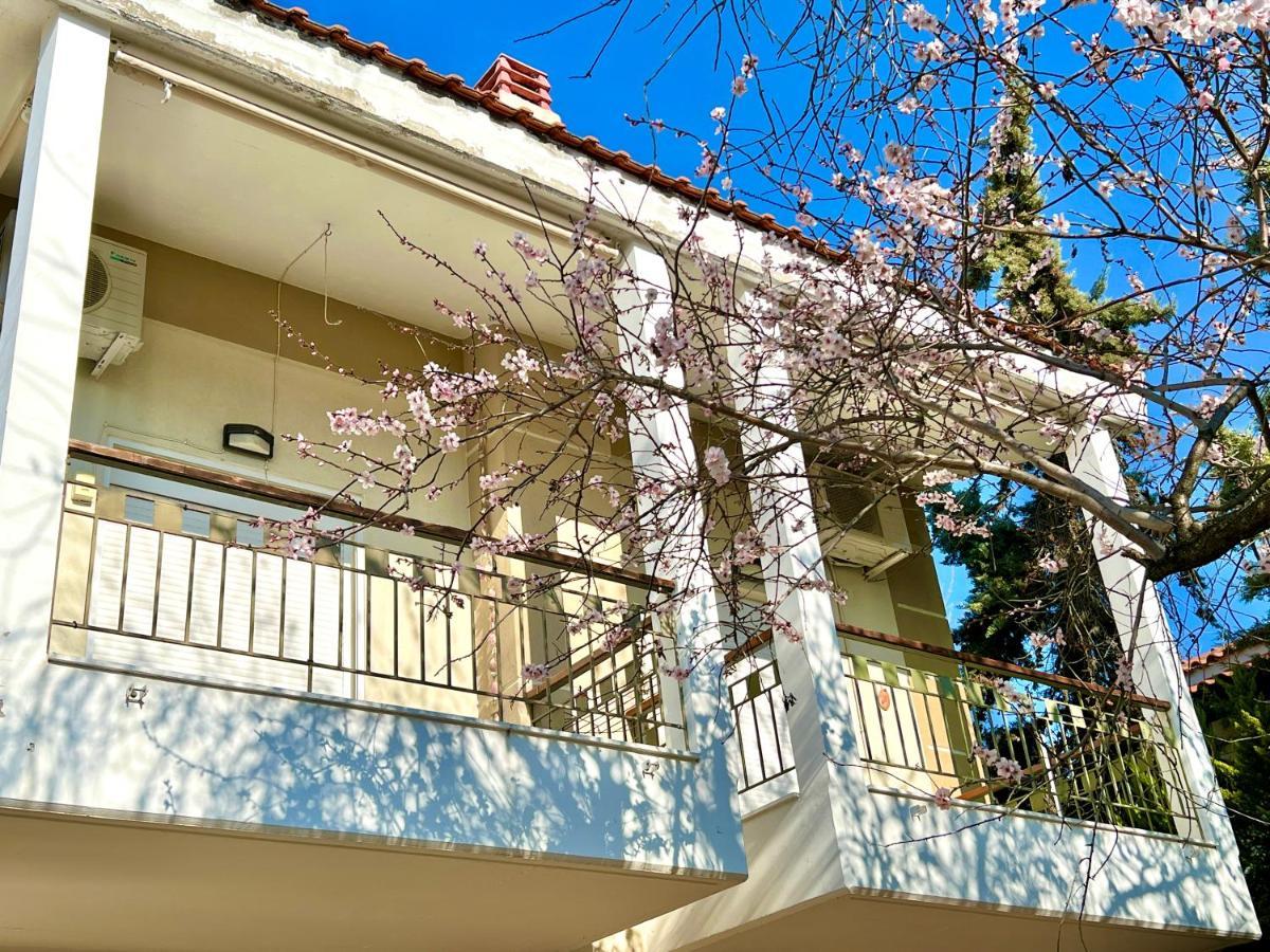 Nikiti Beach Houses Esterno foto